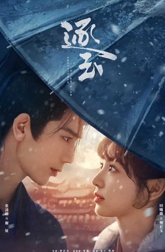 把她灌醉喂她吃鸡巴 - 爱骑姬海报